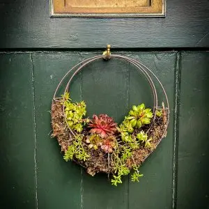 Hanging Succulent Wreath Basket [Small]